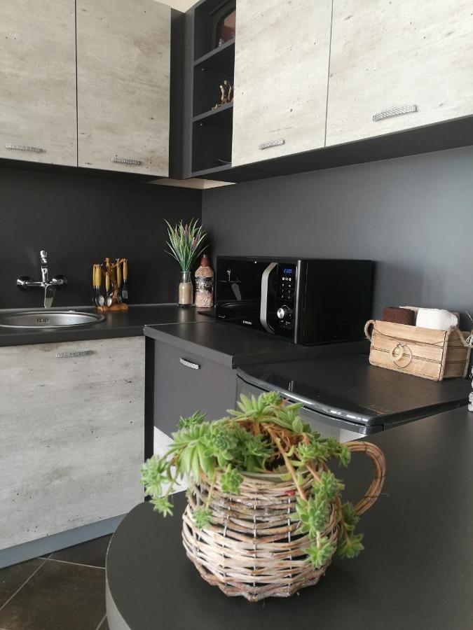 Apartment Anastasia Sapareva Banya